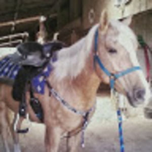 Meet your Posher, Renelle